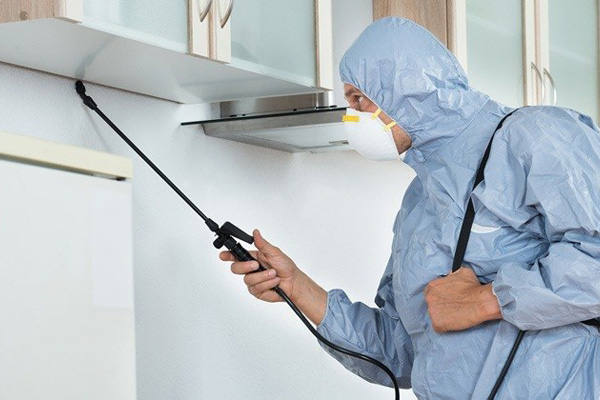 http://www.goldcoastbondclean.com.au/images/services/details/pest-control2.jpg
